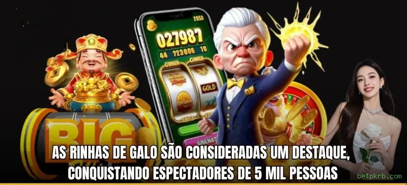 betpkrb.com Plataforma